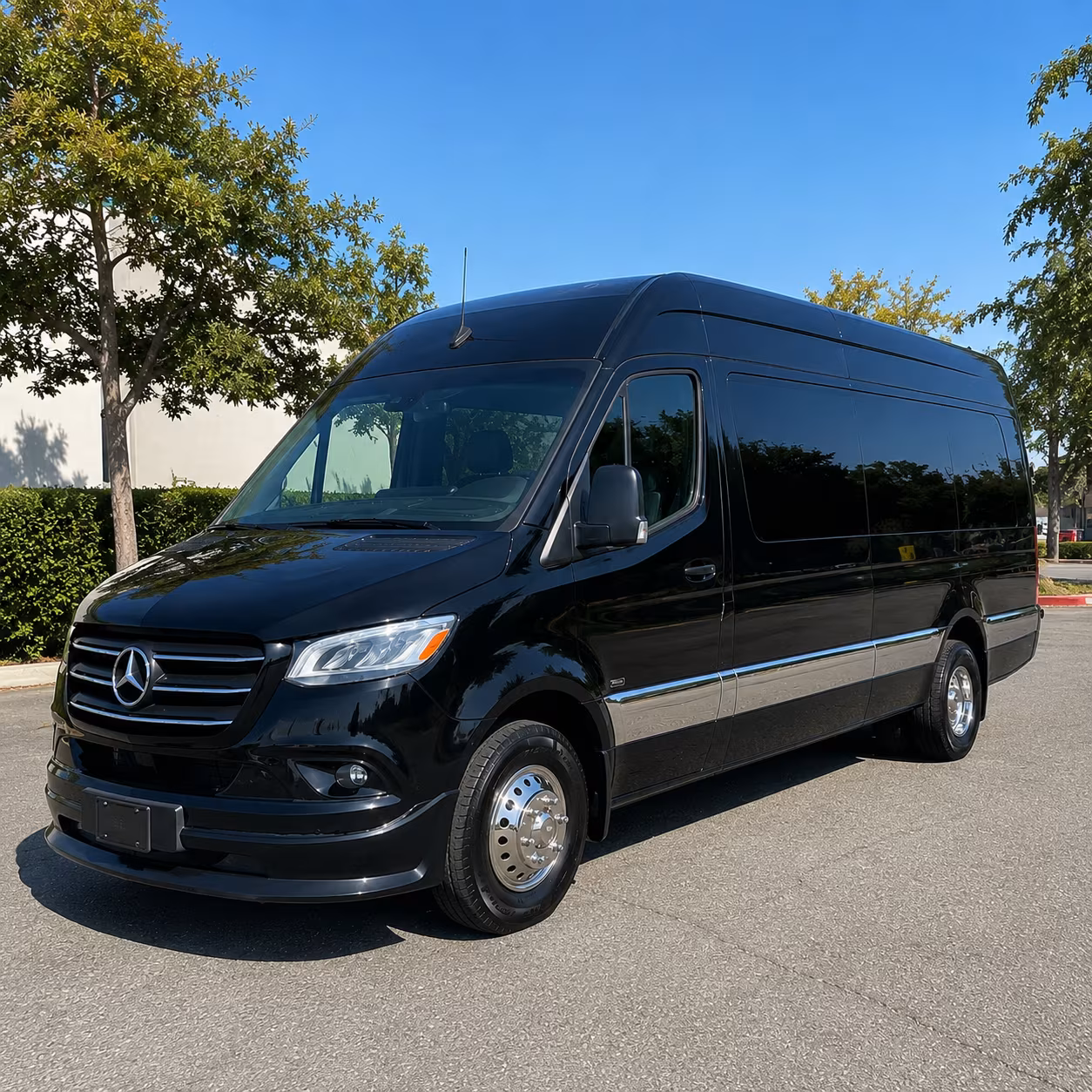 visalia 10 passenger sprinter van