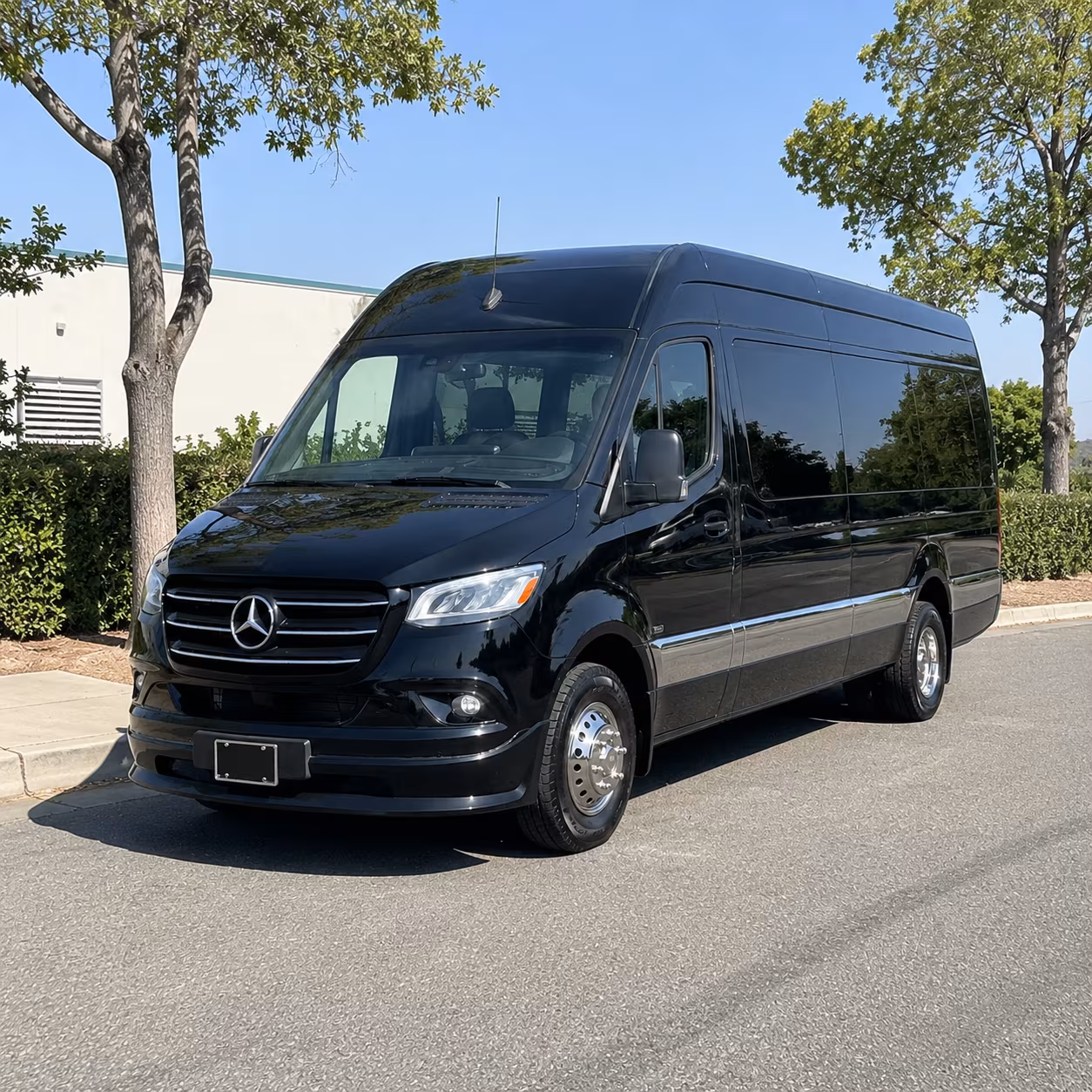 visalia 15 passenger sprinter van