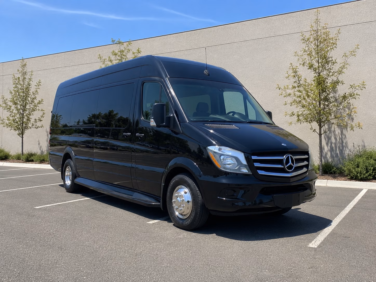 visalia birthday sprinter van rental