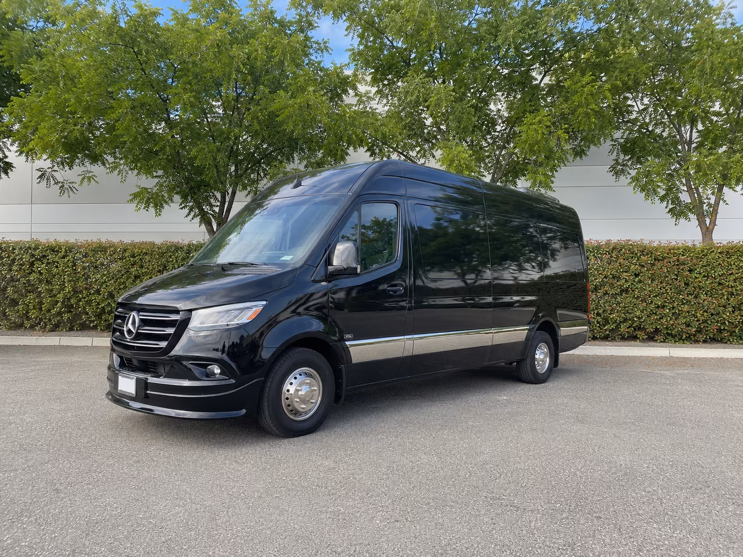 visalia wedding sprinter van rental